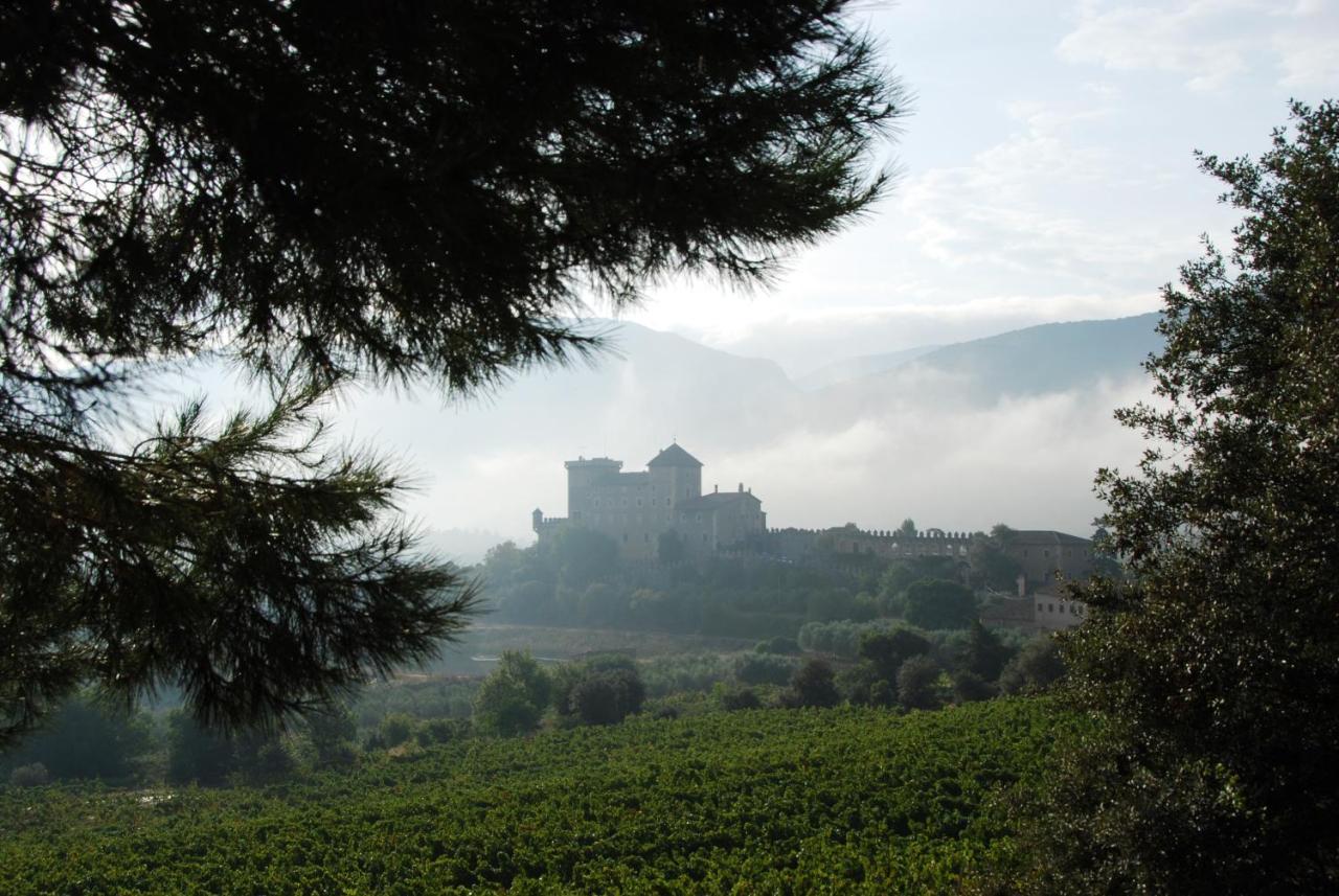 Ferienwohnung Castell De Riudabella Vimbodi I Poblet Exterior foto