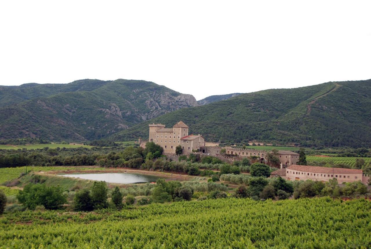 Ferienwohnung Castell De Riudabella Vimbodi I Poblet Exterior foto