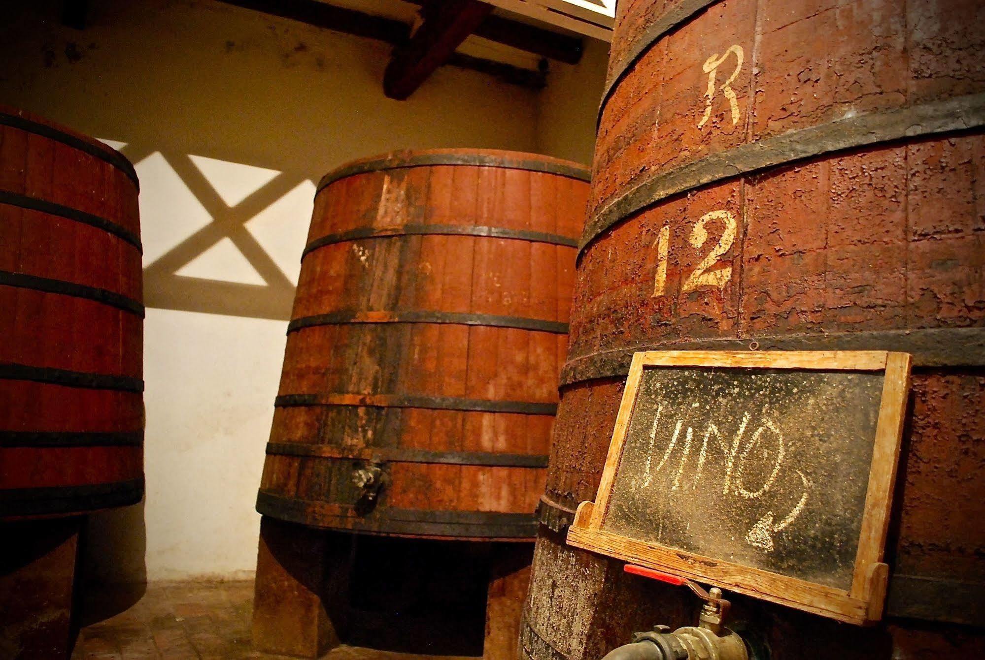 Ferienwohnung Castell De Riudabella Vimbodi I Poblet Exterior foto